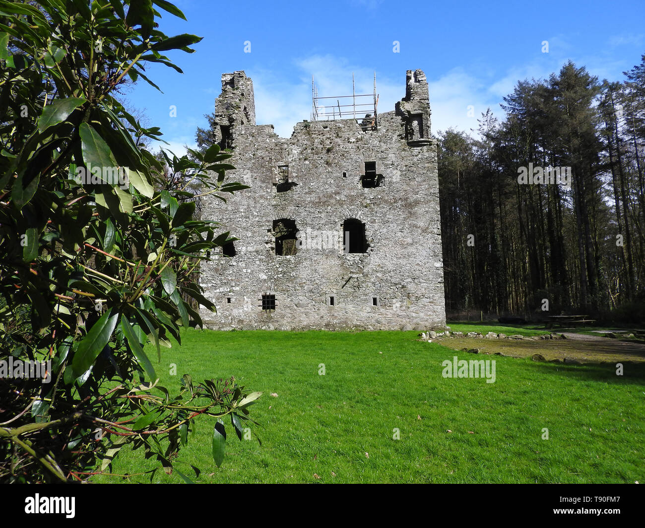 Sorbie Tower, (Fortified Tower House - ancient seat of the Clan Hannay) - at Sorbie, Wigtownshire,Dumfries and Galloway, Scotland.  Believed to be built by  Patrick Hannay, poet and courtier at the court of James VI. Ir was later owned by the Earl of Galloway -2019 photo Stock Photo