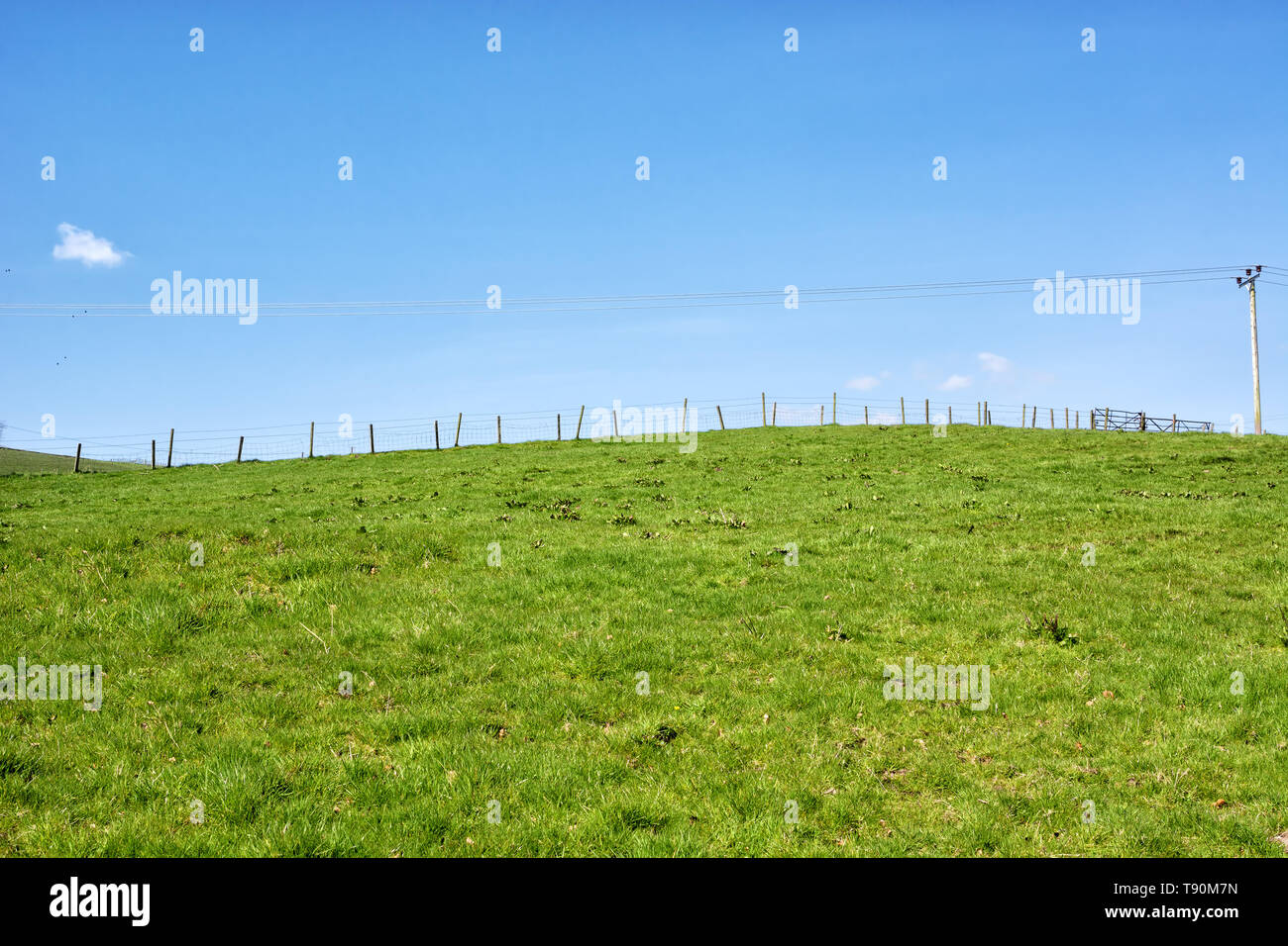 Fence-lined green field under the beautiful blue sky in Scotland, UK Stock Photo