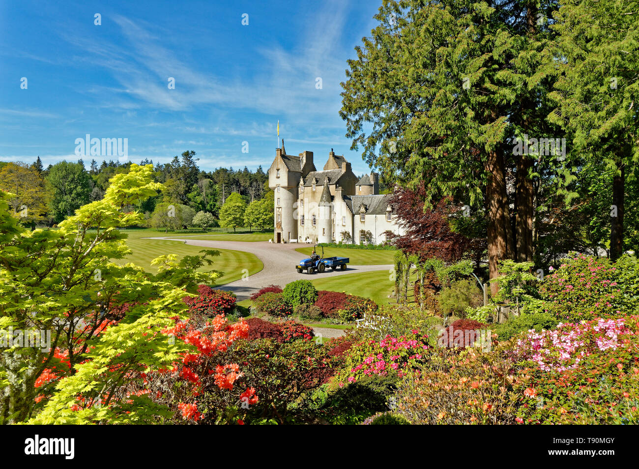 BALLINDALLOCH CASTLE BANFFSHIRE SCOTLAND THE  GARDENS IN SPRINGTIME WITH COLOURFUL AZALEAS AND GARDENERS TRACTOR AND TRAILER Stock Photo