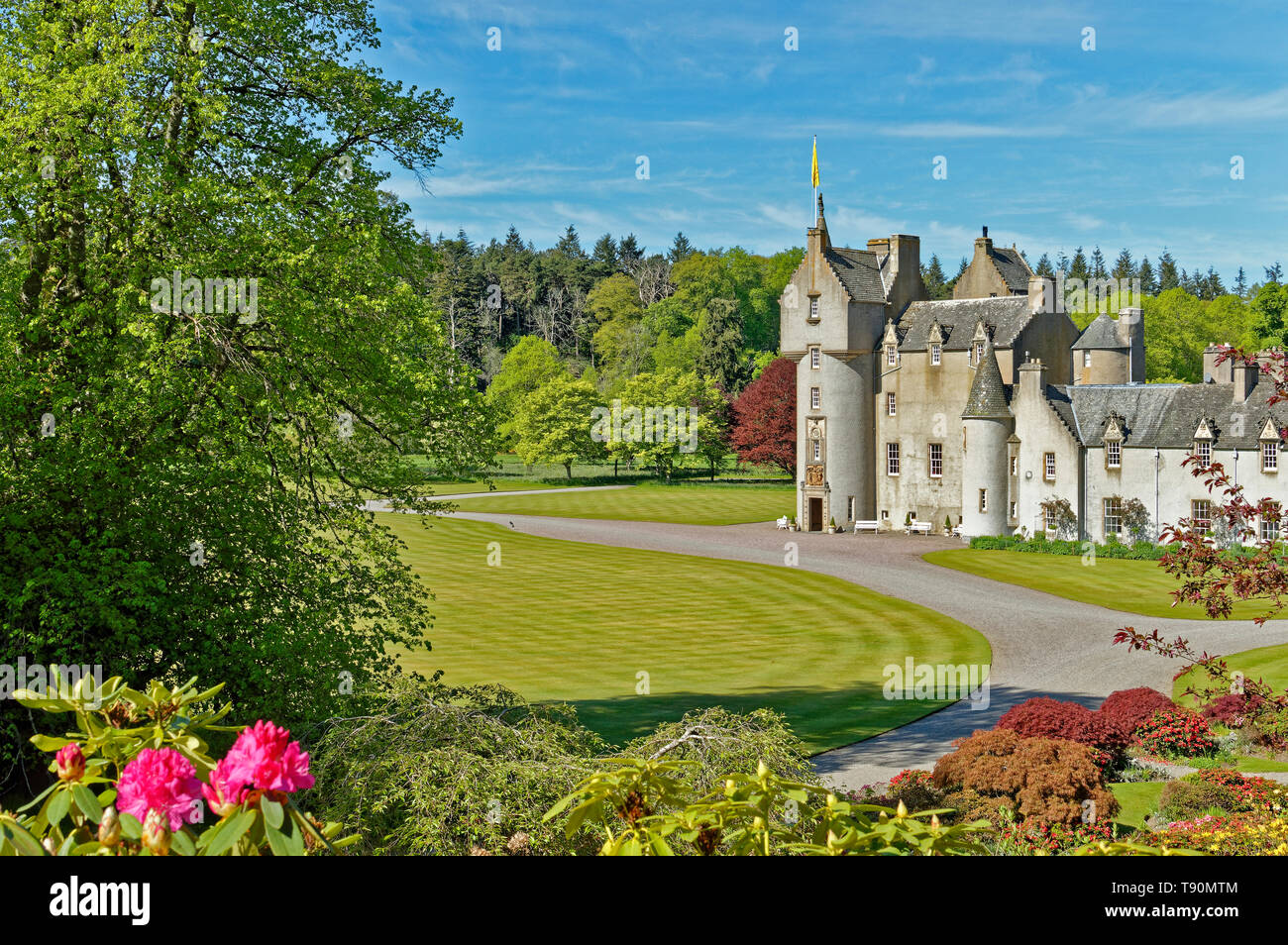 BALLINDALLOCH CASTLE BANFFSHIRE SCOTLAND THE  GARDENS WITH COLOURFUL RED RHODODENDRON FLOWERS Stock Photo