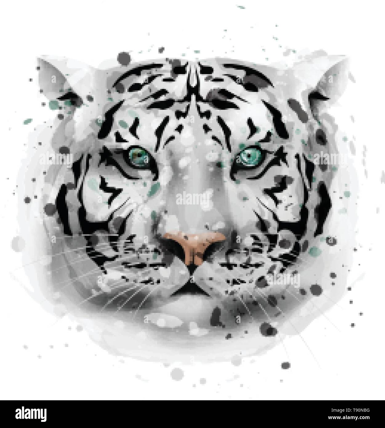 White Tiger vector watercolor. Wildlife animal front view illustration
