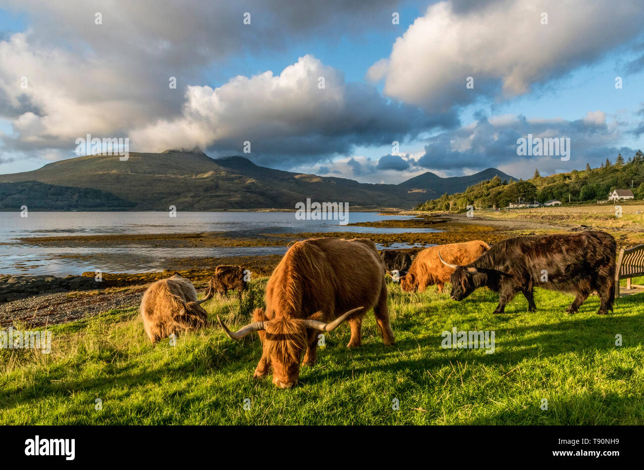 Highland and islands hi-res stock photography and images - Alamy