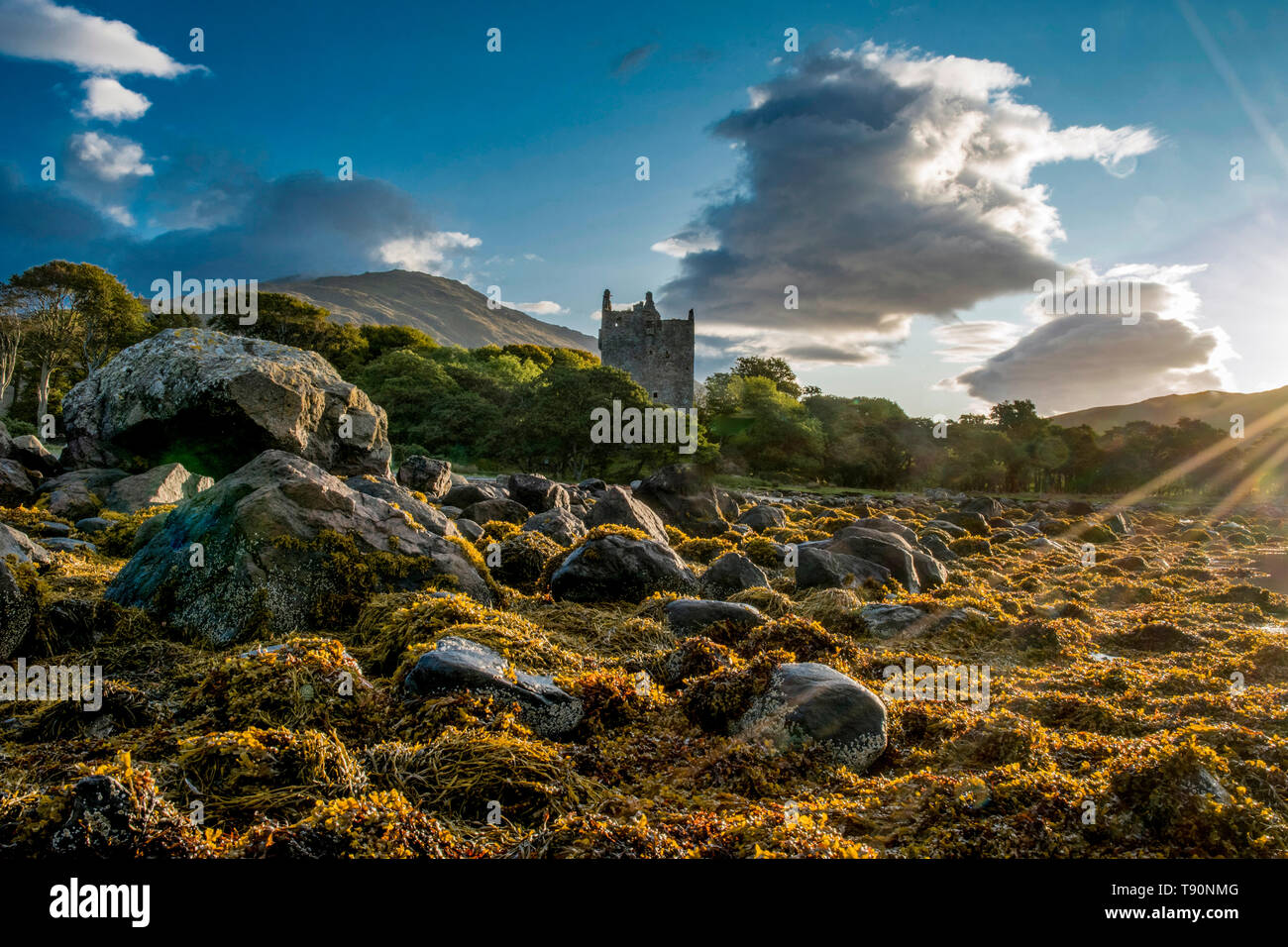 Castle Moy, Loch Buie, Isle of Mull Stock Photo