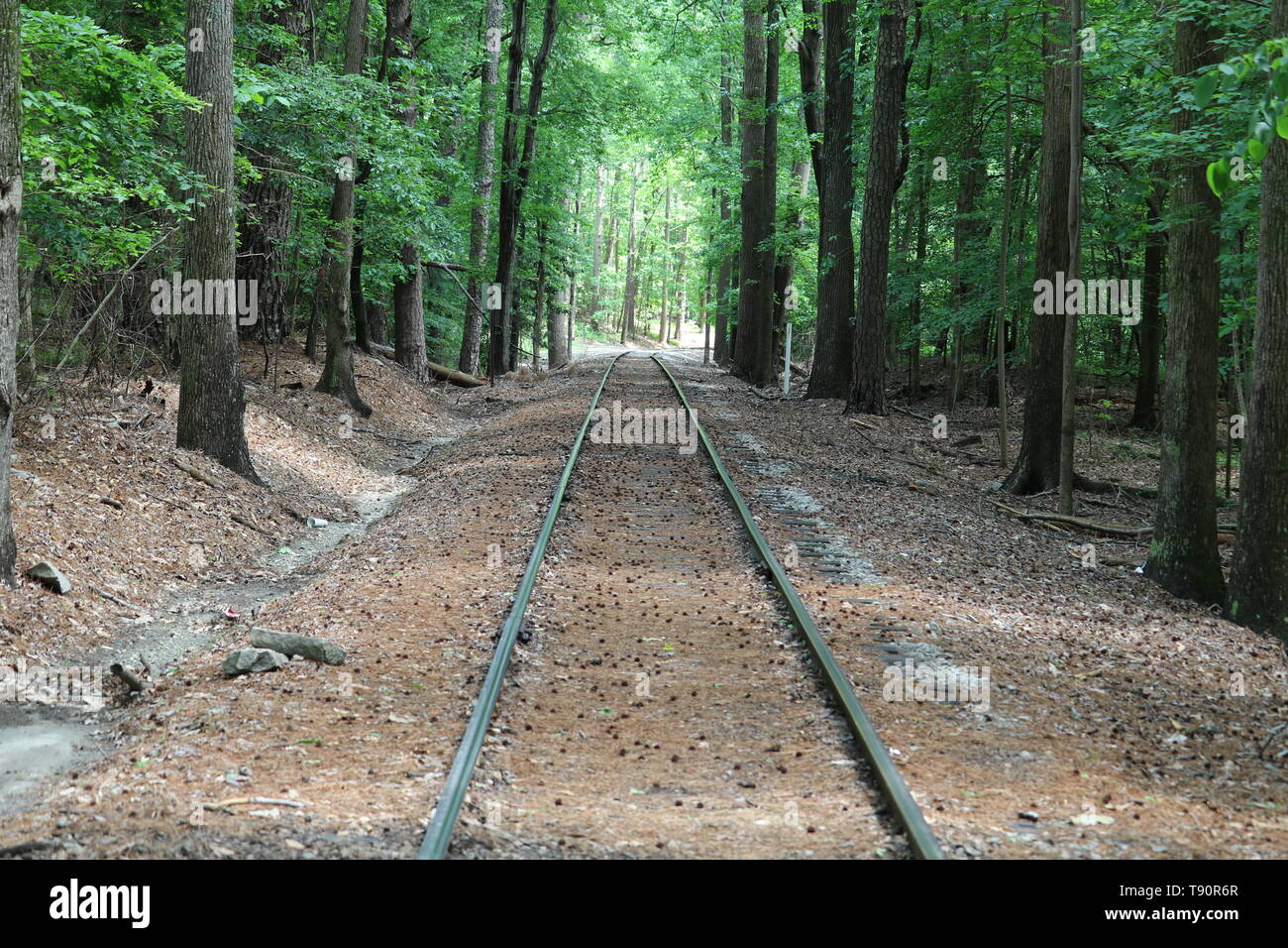 railroad tracks stone mountain Georgia park Stock Photo - Alamy