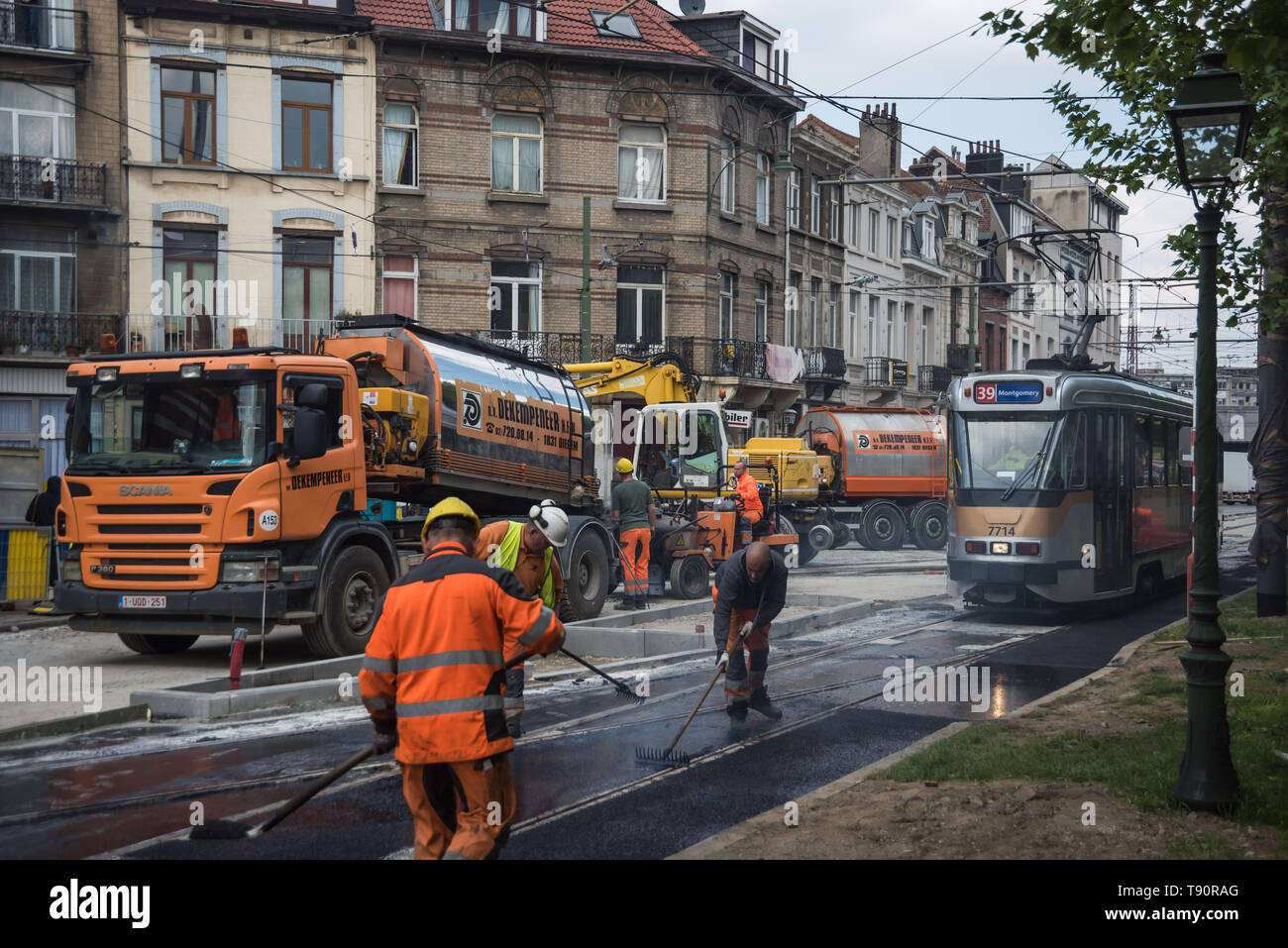 Brüssel, Bruxelles, Avenue du Roi, Straßenbahn - Brussels, Avenue du Roi, Street Car Stock Photo