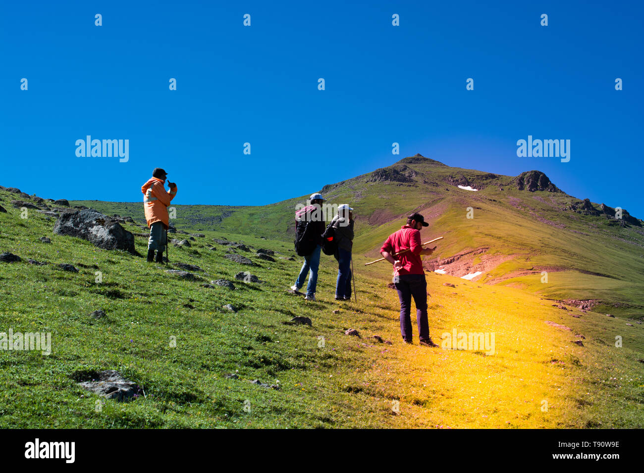 Boy traveler trekking poles hi-res stock photography and images - Alamy
