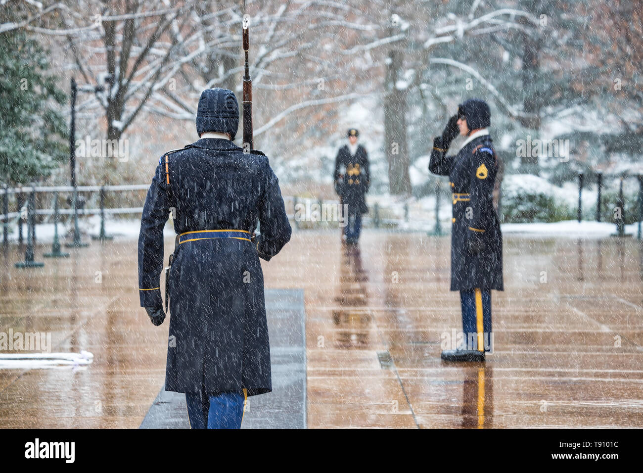 The changing of the guard in a Virginia snowstorm. Stock Photo