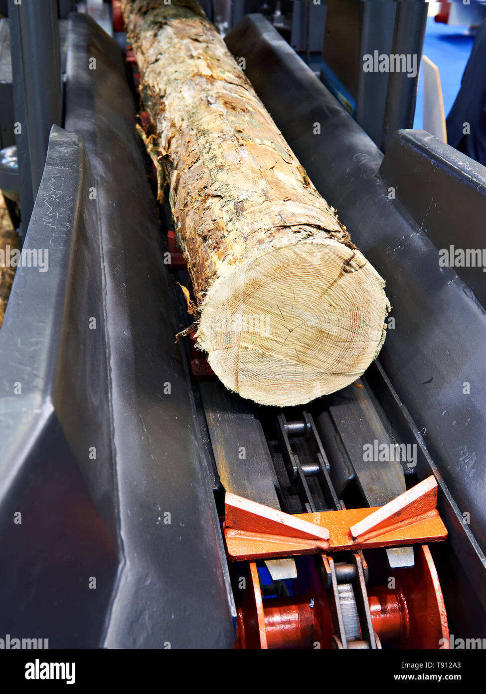Log in wood working machine in factory Stock Photo