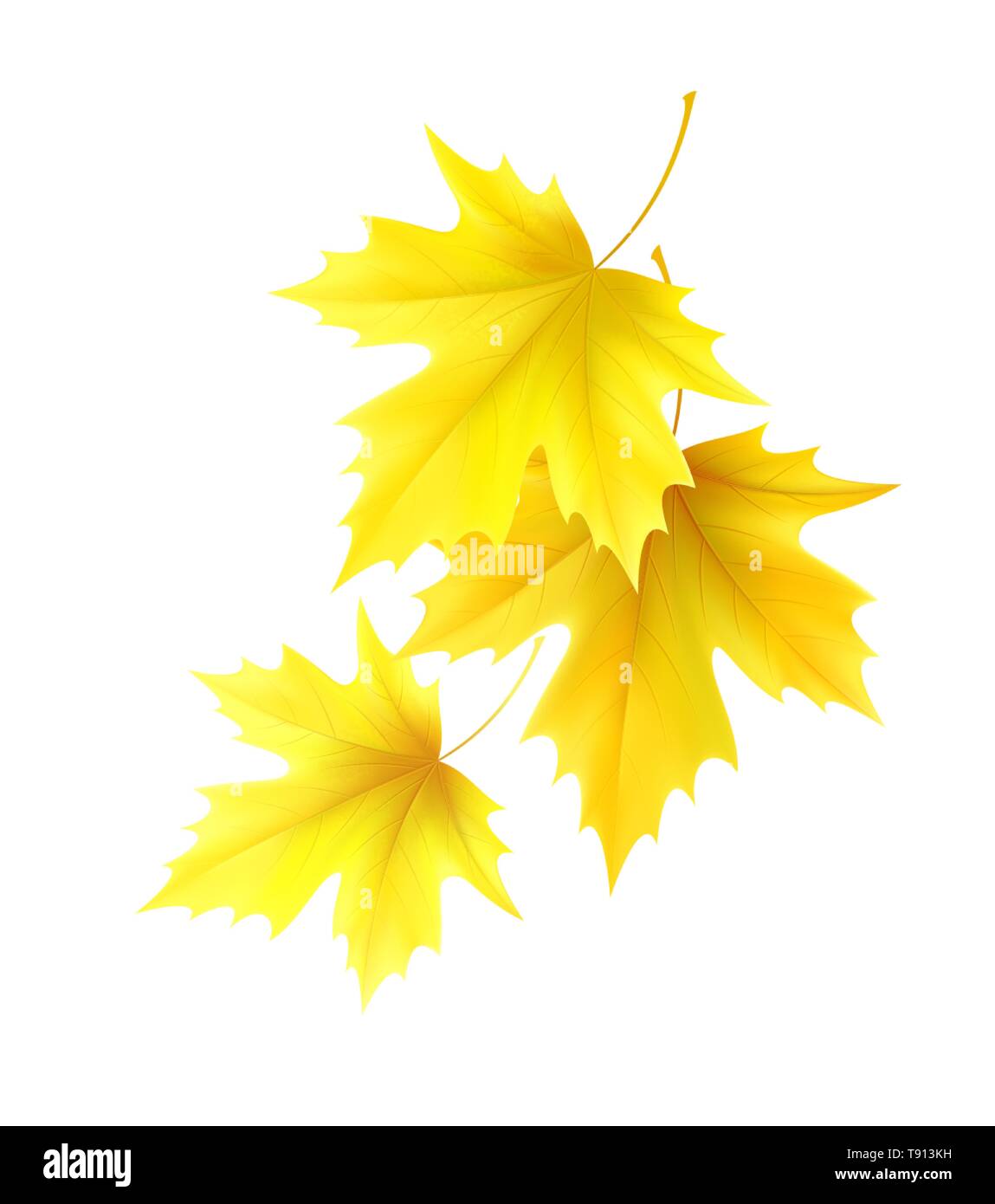 Autumn background with yellow maple leaf leaves. Vector illustration ...