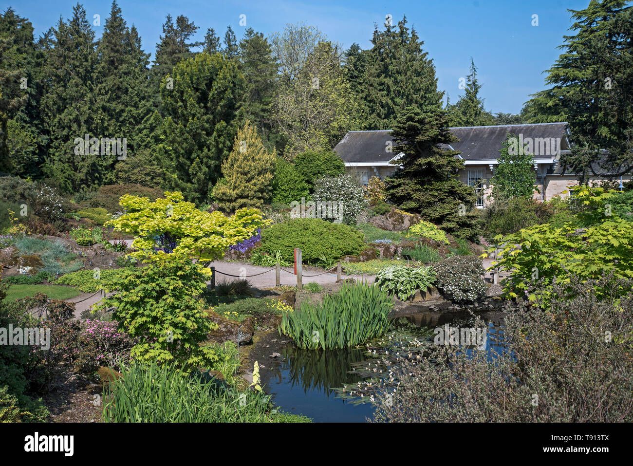 Rock Garden and Caledonia Hall in the Royal Botanic Garden Edinburgh (RBGE), Scotland, UK. Stock Photo