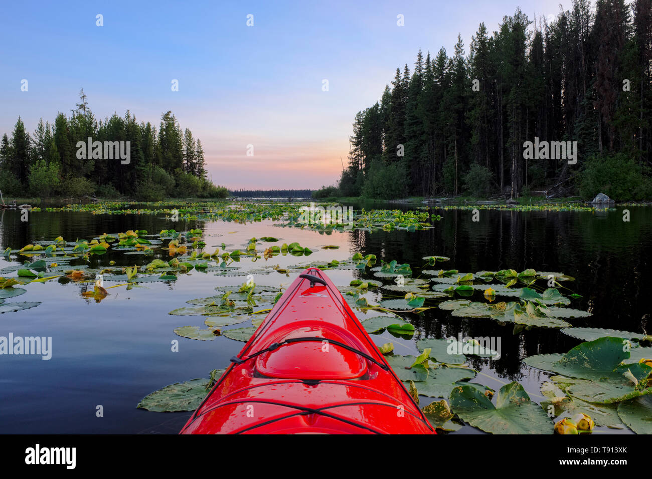 Kayaker with a red kayak on Beaver Lake at sunset, Winfield, British