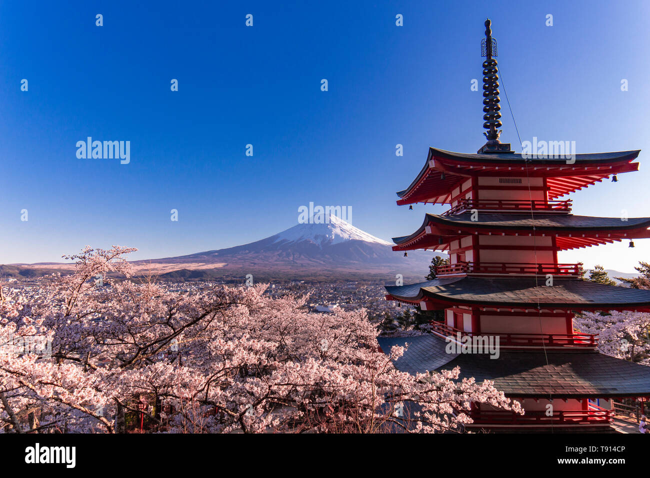 Mount Fuji view from Arakurayama Sengen Park Stock Photo