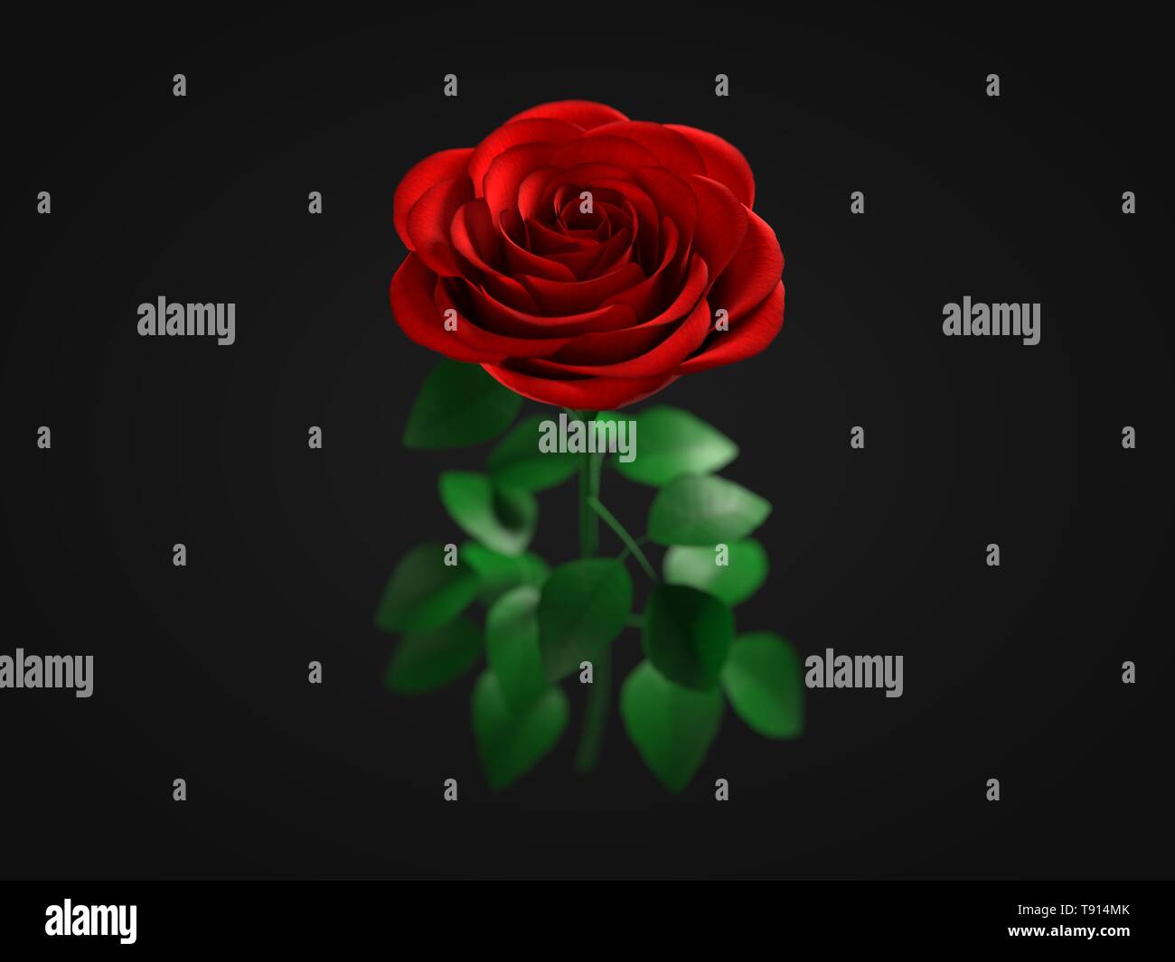 a red rose on dark background. 3d illustration Stock Photo - Alamy