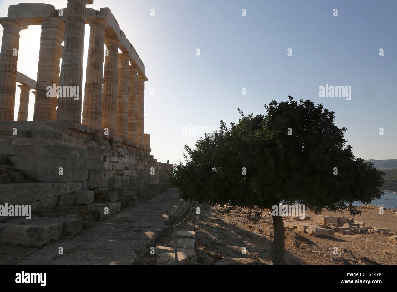 Attica Greece Cape Sounion Temple Of Poseidon and Olive Tree Stock ...