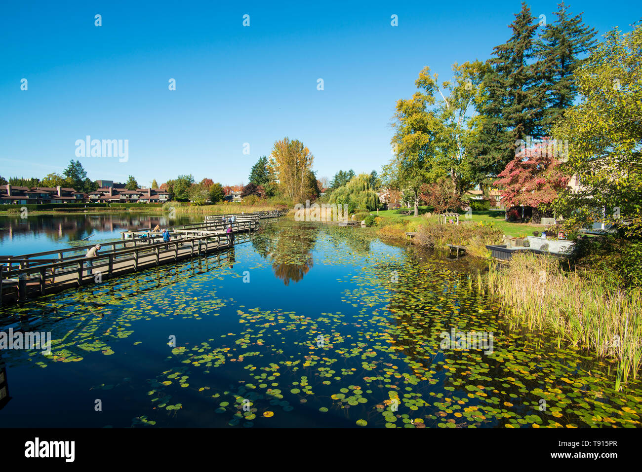 Mill Lake Park in autumn, Abbotsford, BC, Canada Stock Photo