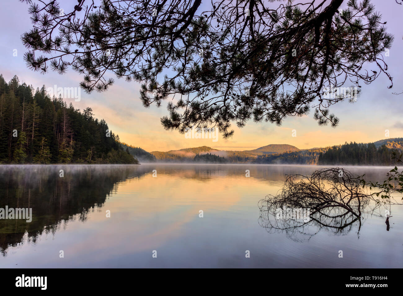 The morning sun illuminates the far shore of Main Lake, in Main Lake Provincial Park on Quadra Island, British Columbia, Canada. Stock Photo