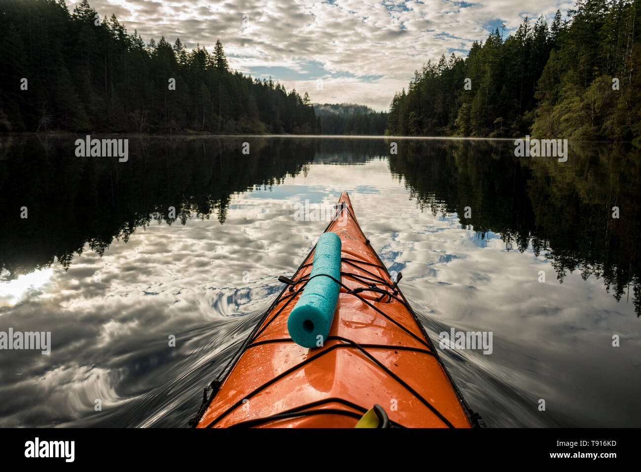 A kayak parts the tranquil water of Main Lake in Main Lake Provincial Park on Quadra Island British Columbia, Canada. Stock Photo