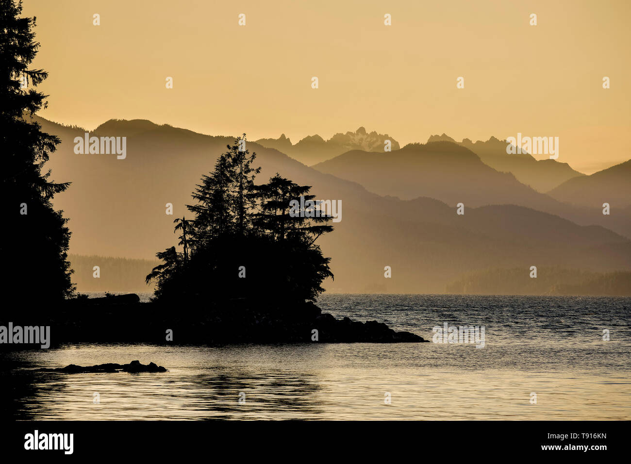 Dusk over Dodd Island in the Broken Group Islands,  Pacific Rim National Park Reserve, British Columbia, Canada. Stock Photo