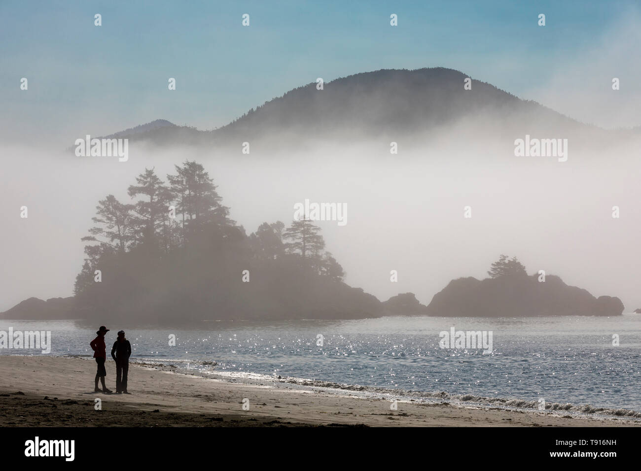Morning fog envelopes an Islet off Benson Point in Nuchatlitz Provincial Park British Columbia, Canada. Stock Photo