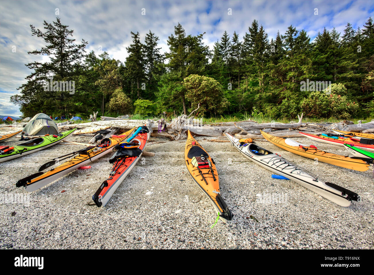 Kayaks on shell  beach, Princess Maragret Marine Park, Portland Island, Gulf Islands National Park Reserve, British Columbia, Canada. Stock Photo