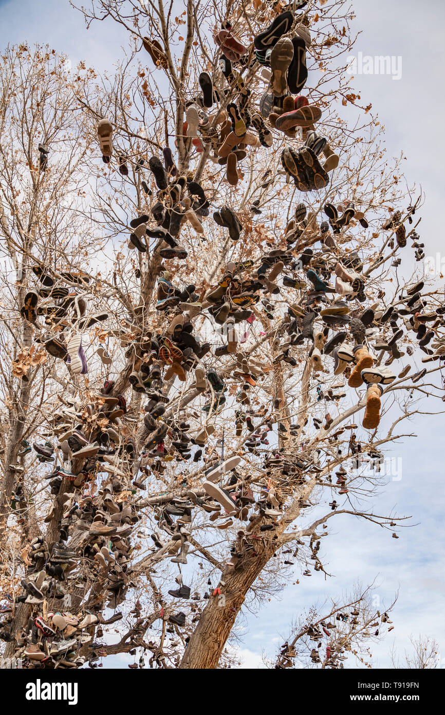 Shoe Tree of Middlegate, Middlegate, Nevada, USA Stock Photo