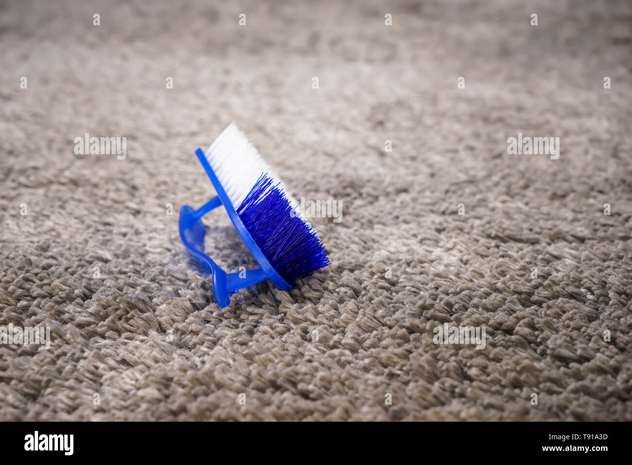 Brush for cleaning on carpet Stock Photo Alamy