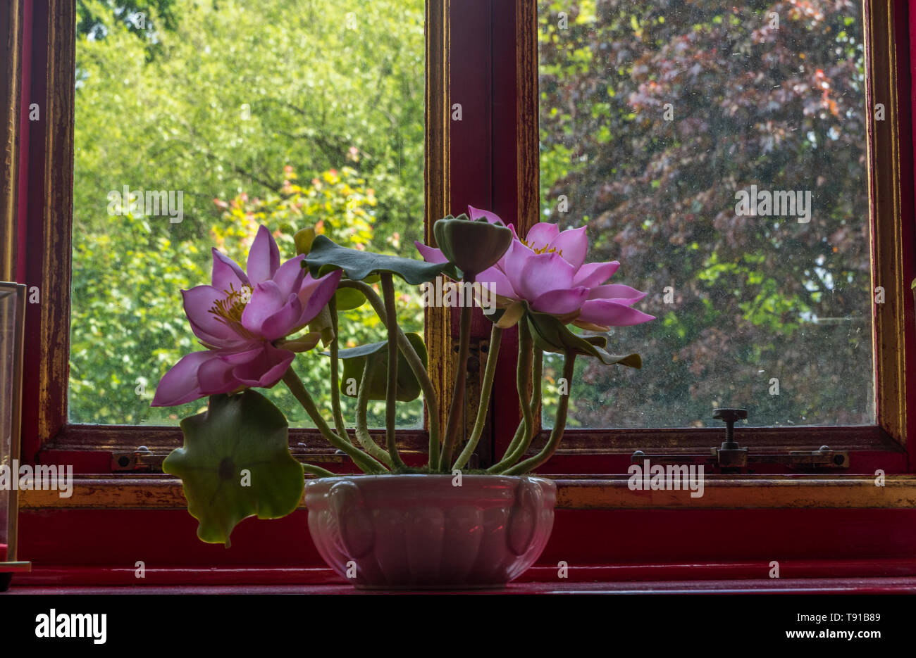 handmade lotus flower with green leaf and pink petals Placed by the window Stock Photo Alamy