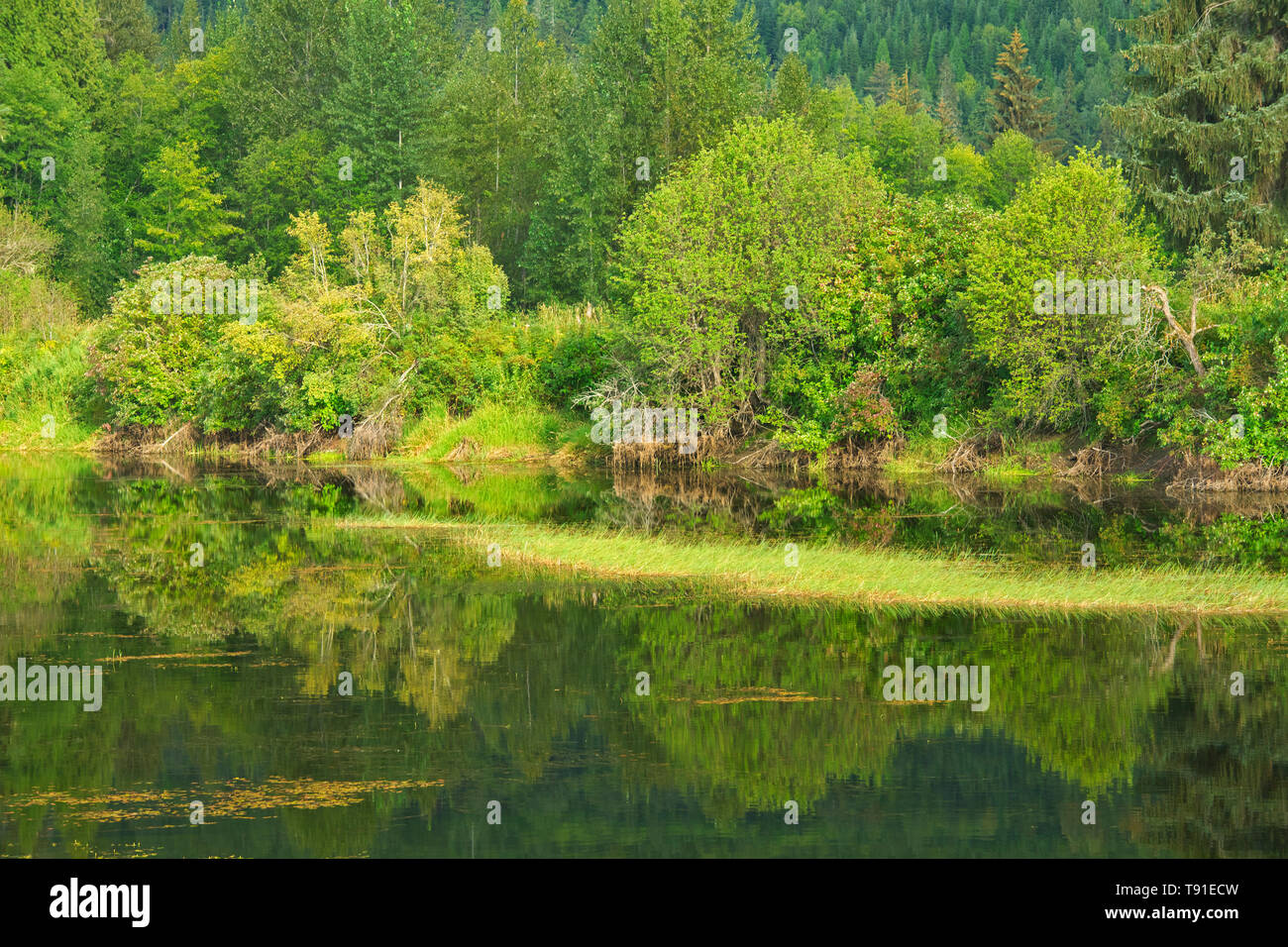 River reflection Terrace British Columbia Canada Stock Photo