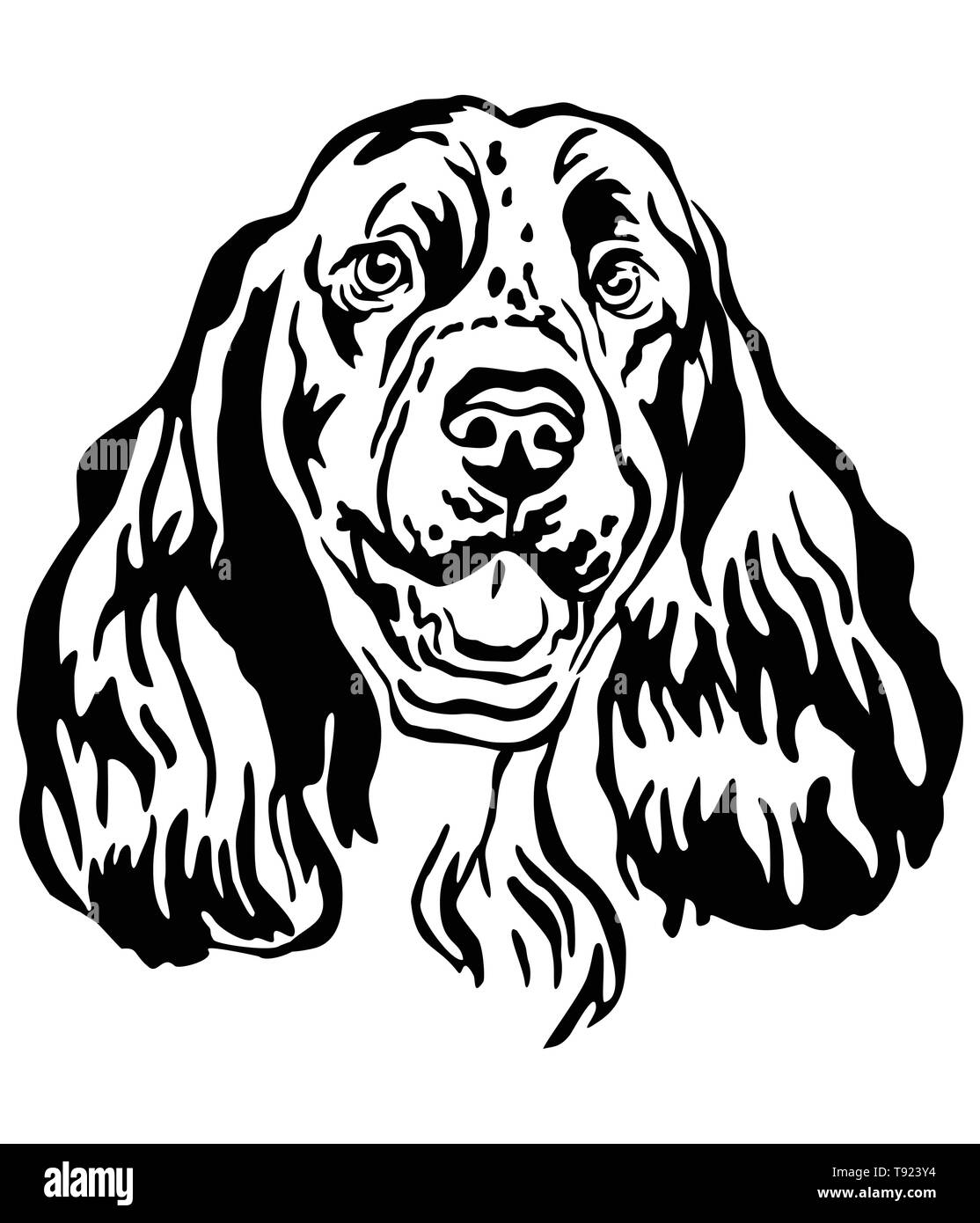 Decorative outline portrait of Dog Springer Spaniel, vector illustration in black color isolated on white background. Image for design and tattoo. Stock Vector