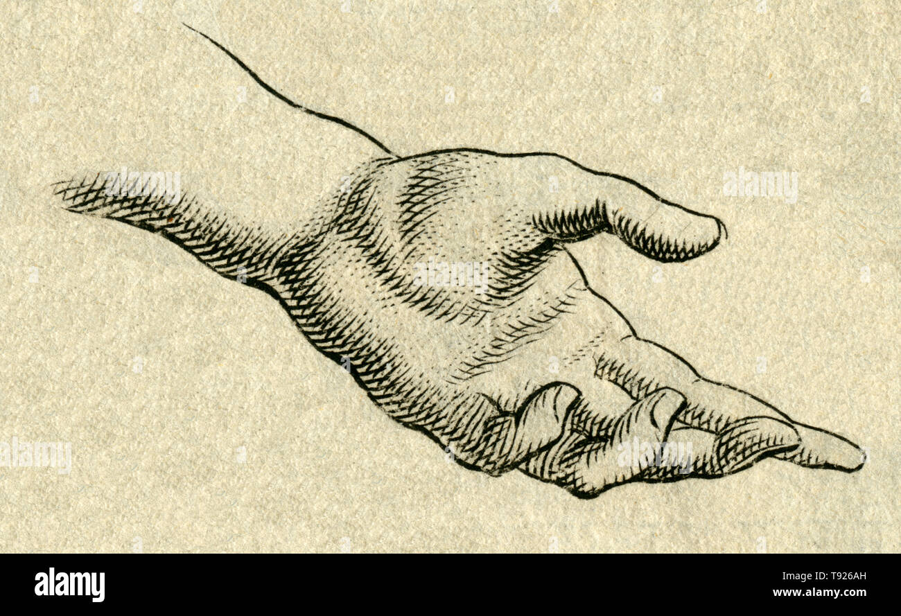 Europa, Medizin, Körperstudie, ' offene Hand ' , Kupferstich, um 1700 , Künstler unbekannt . / Europe, medicine, body support ' open hand ' , copperpl Stock Photo