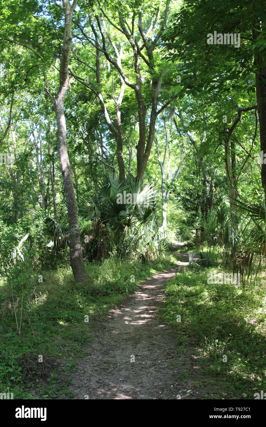 A path among the tropical vegetation, Fort Clinch State Park, Amelia Island, Florida, USA Stock Photo