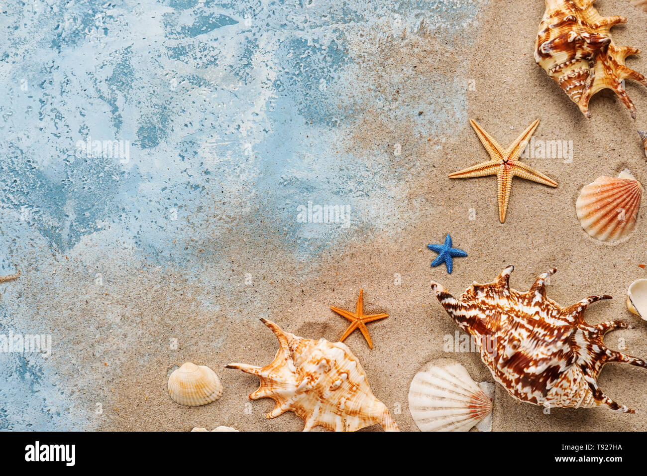 Composition With Shells Composition with different sea shells and sand on color background ...
