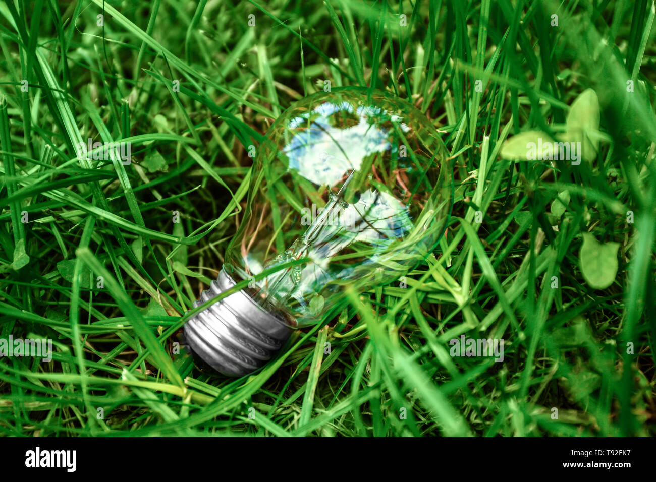 Light bulb in green grass Stock Photo - Alamy