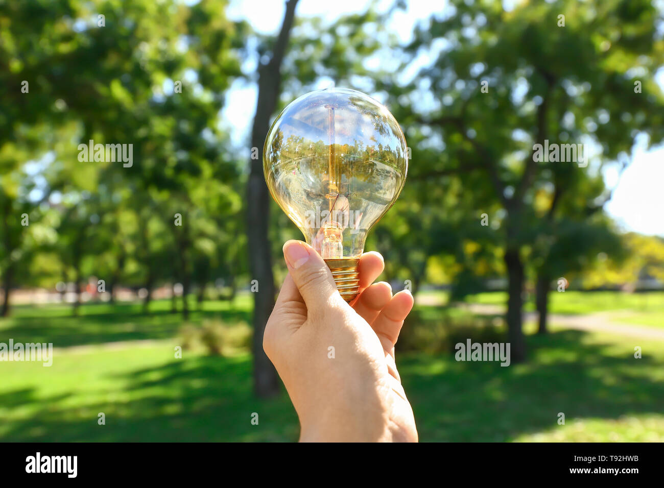 Female hand with eco light bulb outdoors Stock Photo Alamy