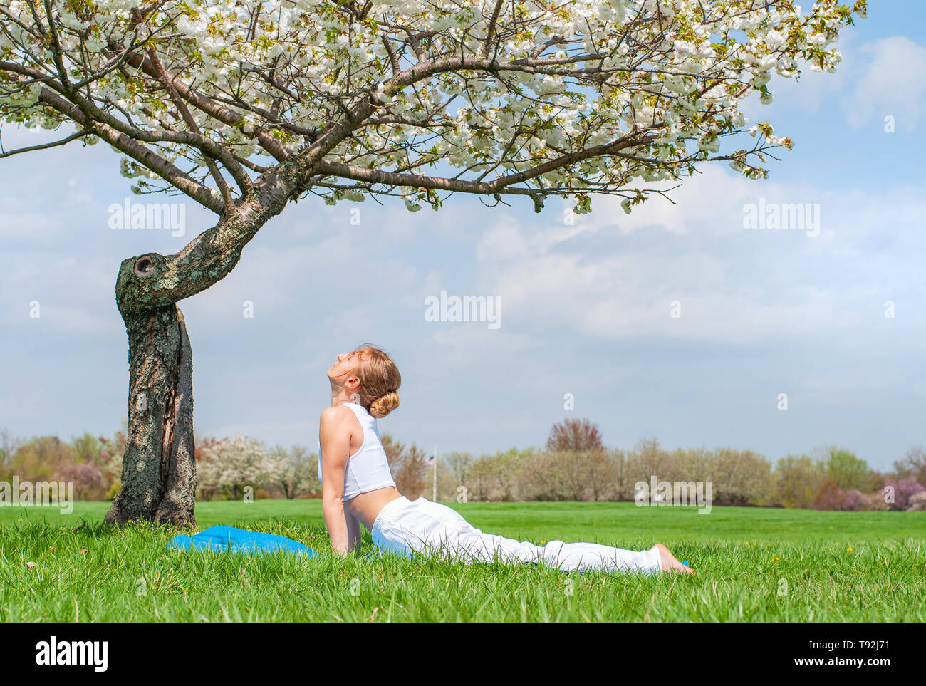 Young woman is practicing yoga, doing Cobra exercise, Bhujangasana pose ...