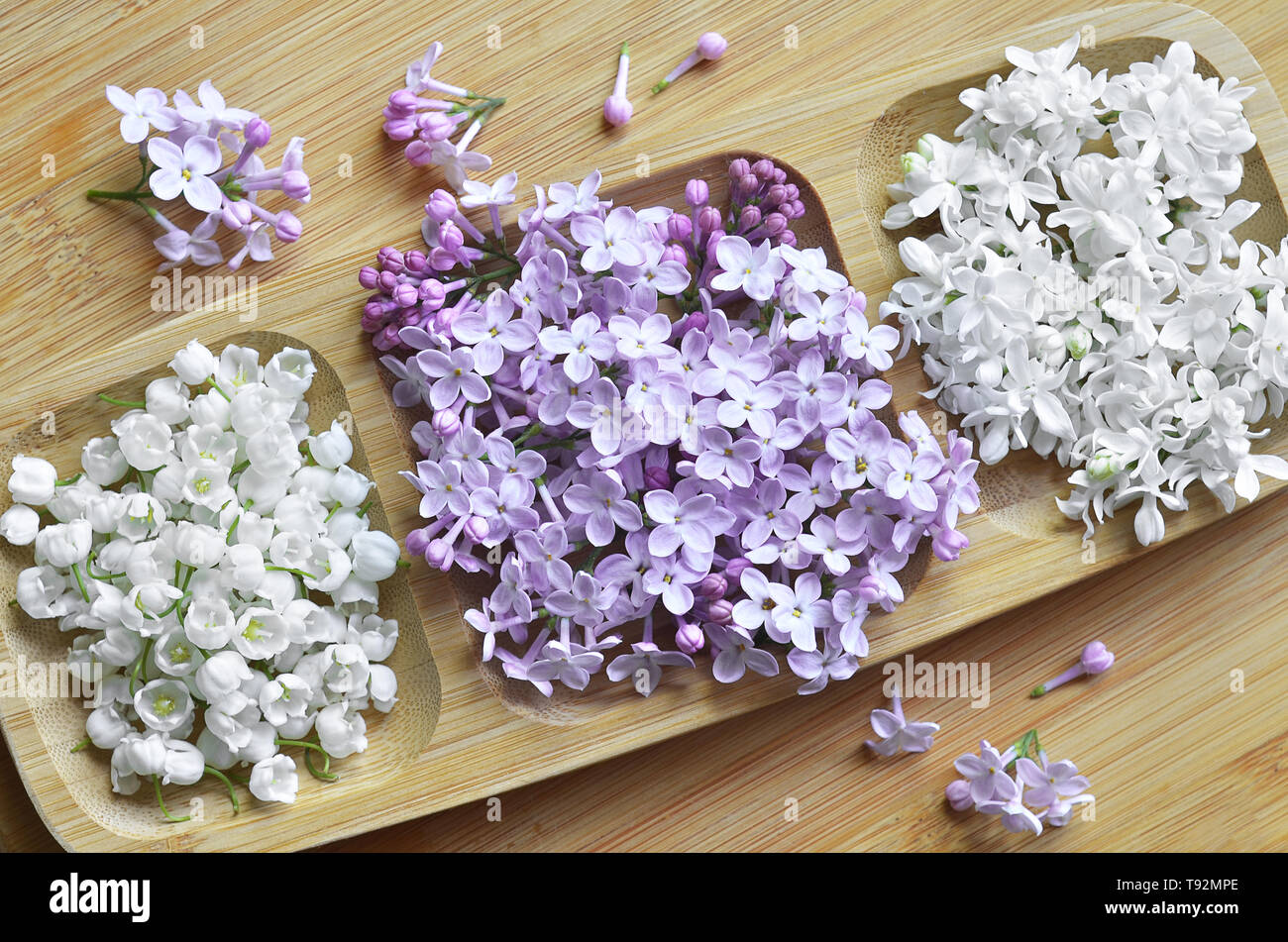 Flowers of medicinal plants, lilac and Lily of the valley may Stock