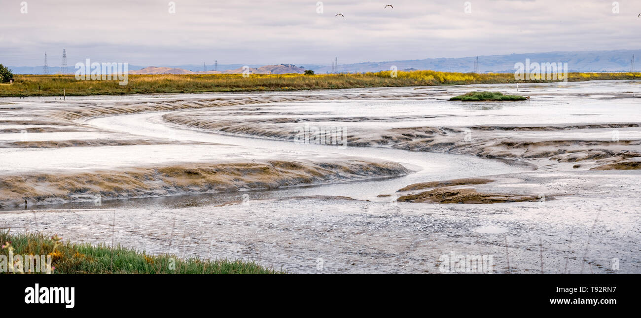 Tidal marsh landscape in South San Francisco bay area, Mountain View, California Stock Photo