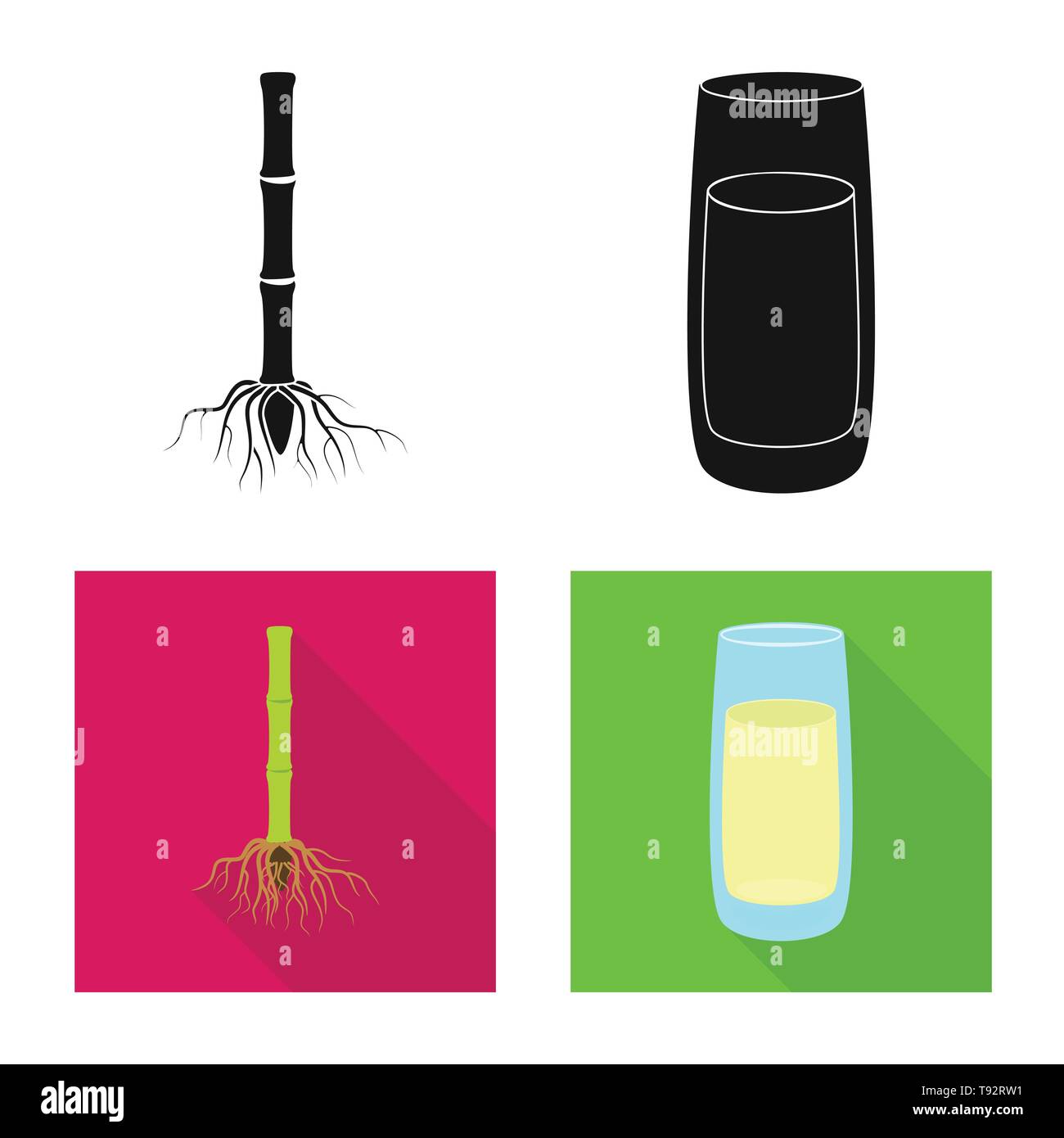 root,juice,system,stem,molasses,sprout,glass,underground,liquid,eco ...