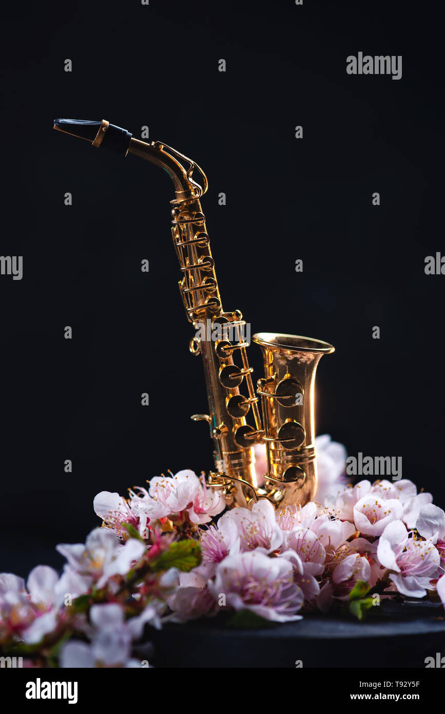 Tiny saxophone with pink cherry blossom on a dark background with copy space. Spring music concept. Stock Photo