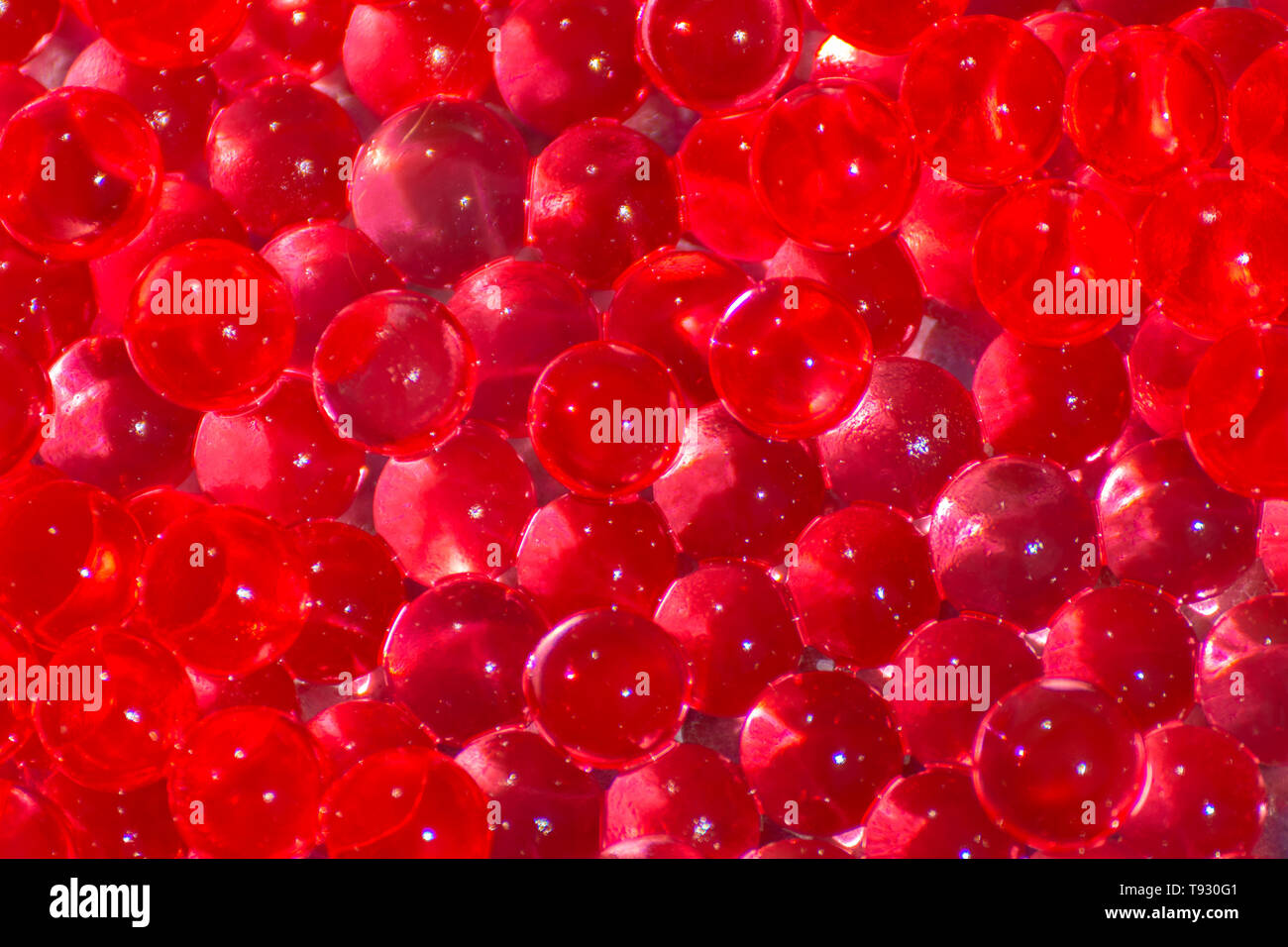 Transparent rot Hydrogel Kugeln. Red Water gel Kugeln mit Bokeh. Polymer  gel Silica Gel. Liquid Crystal Ball mit Reflexion. Rote Kugeln Textur  backgro Stockfotografie - Alamy