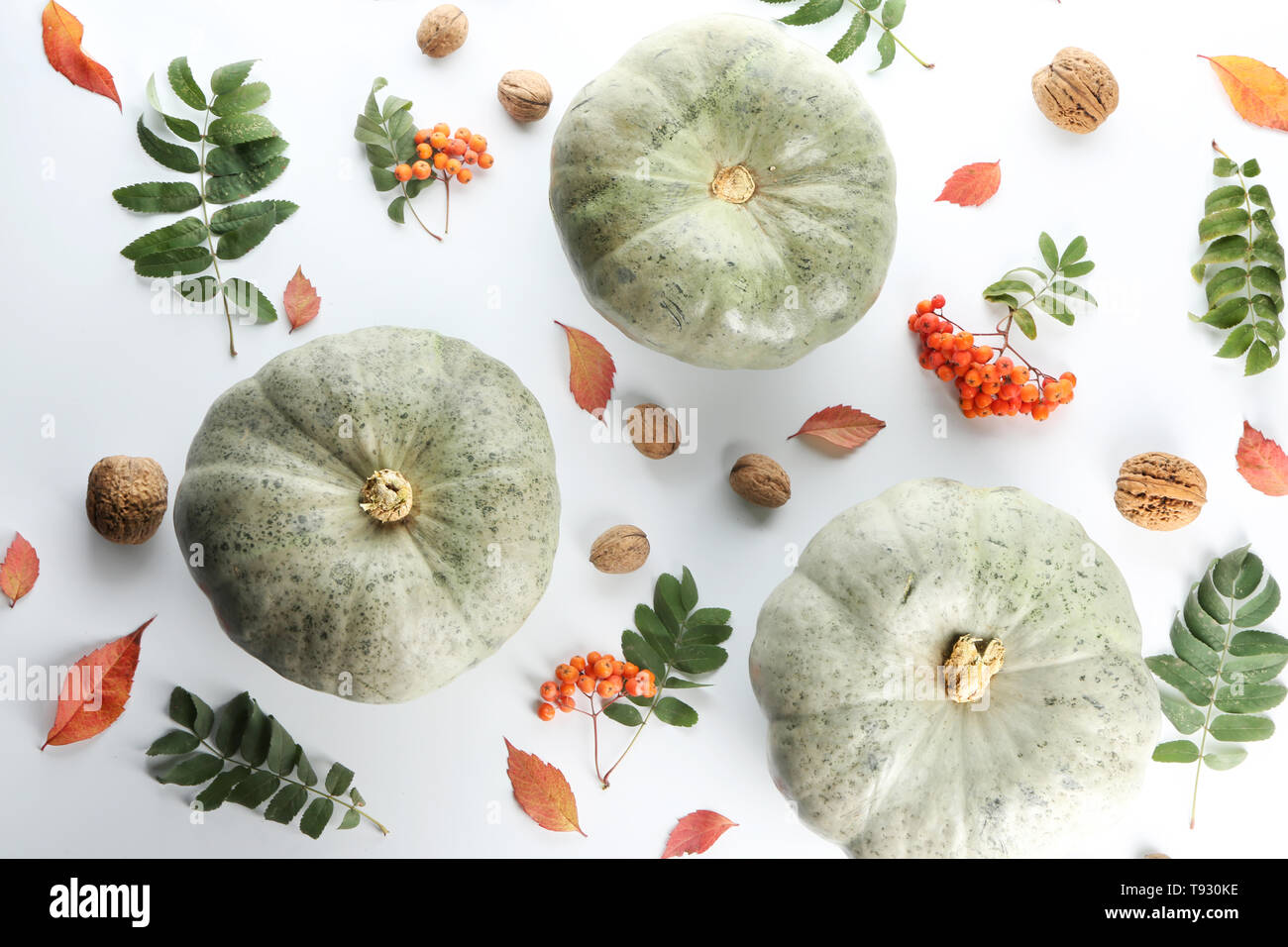 Autumn composition with fresh pumpkins and leaves on white background ...