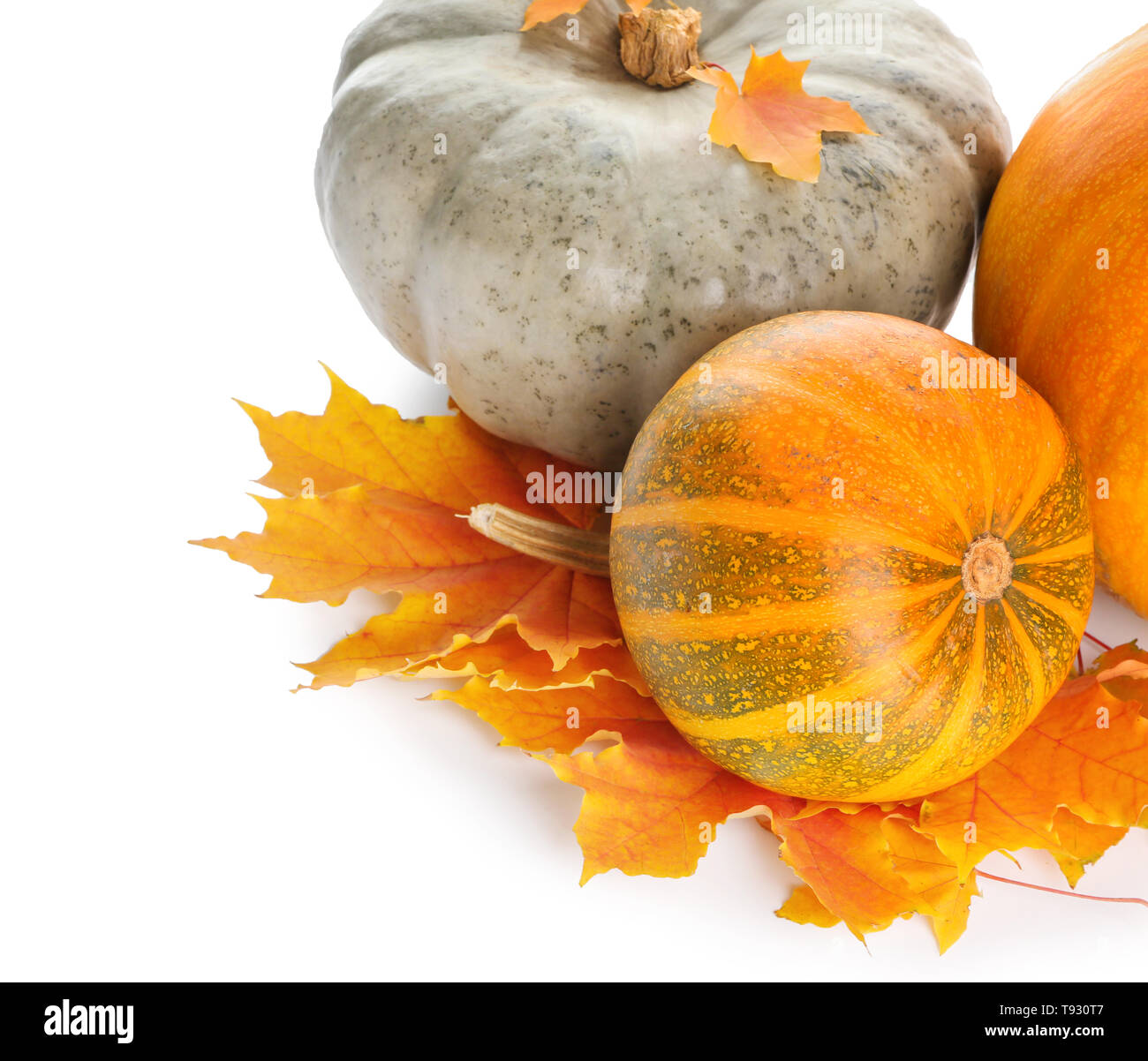 Whole fresh pumpkins with autumn leaves on white background Stock Photo ...