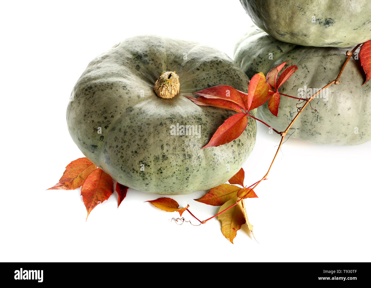 Whole fresh pumpkins with autumn leaves on white background Stock Photo ...