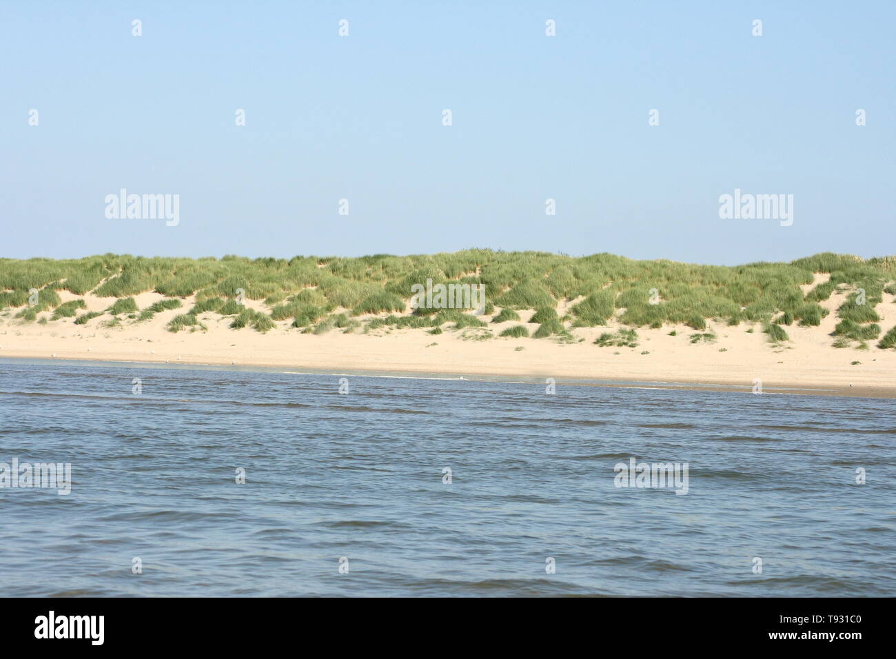 Sandy beach with sand dunes and blue sky in the background Stock Photo