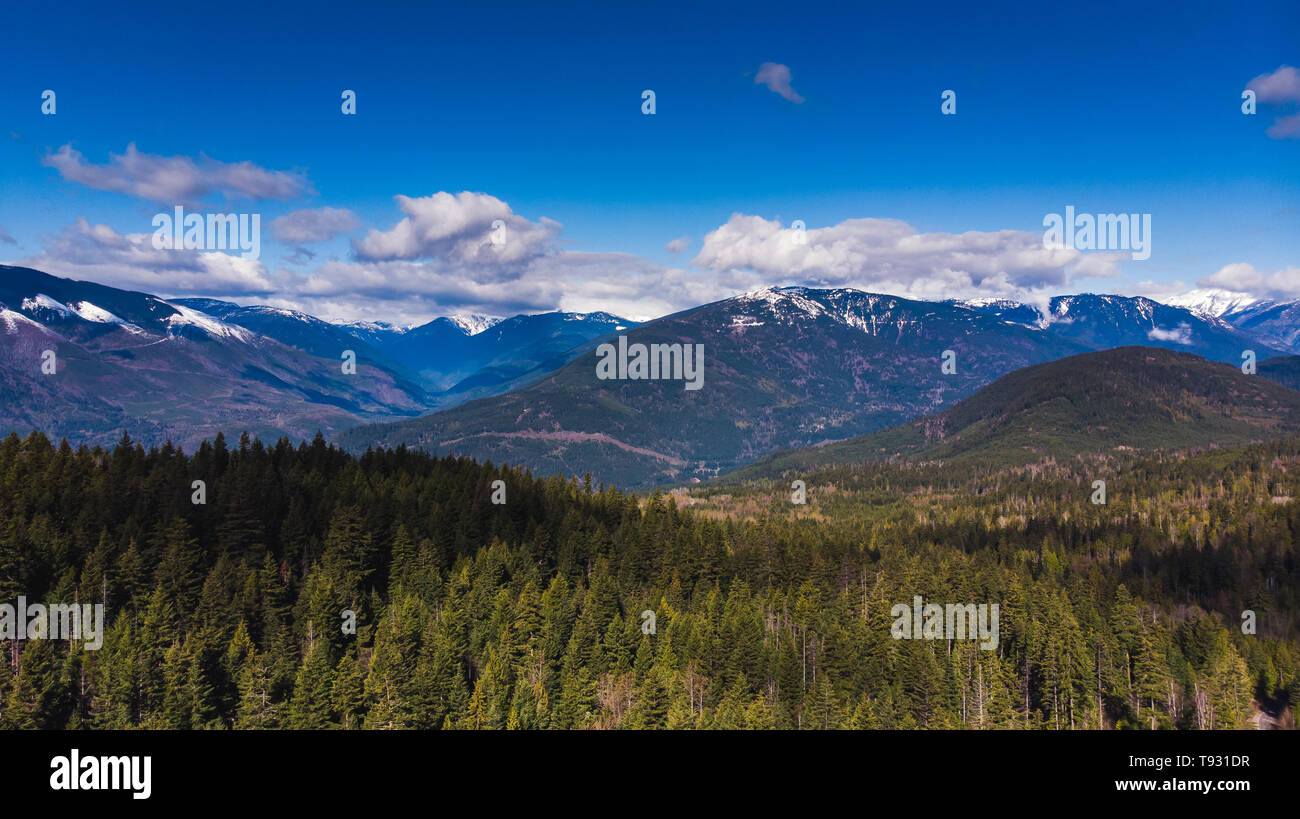Aerial of forest and snow capped mountains on a nice spring day Stock ...