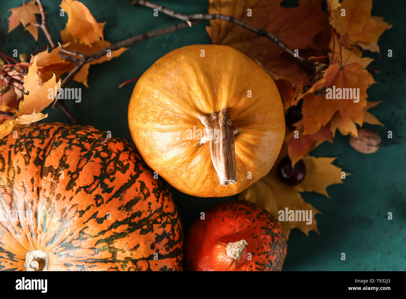 Whole fresh pumpkins with autumn leaves on color table Stock Photo - Alamy