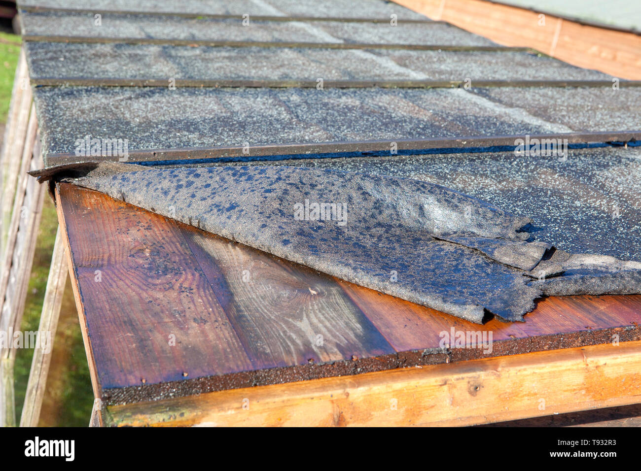 Felt roofing coming off of a shed after a storm Stock Photo