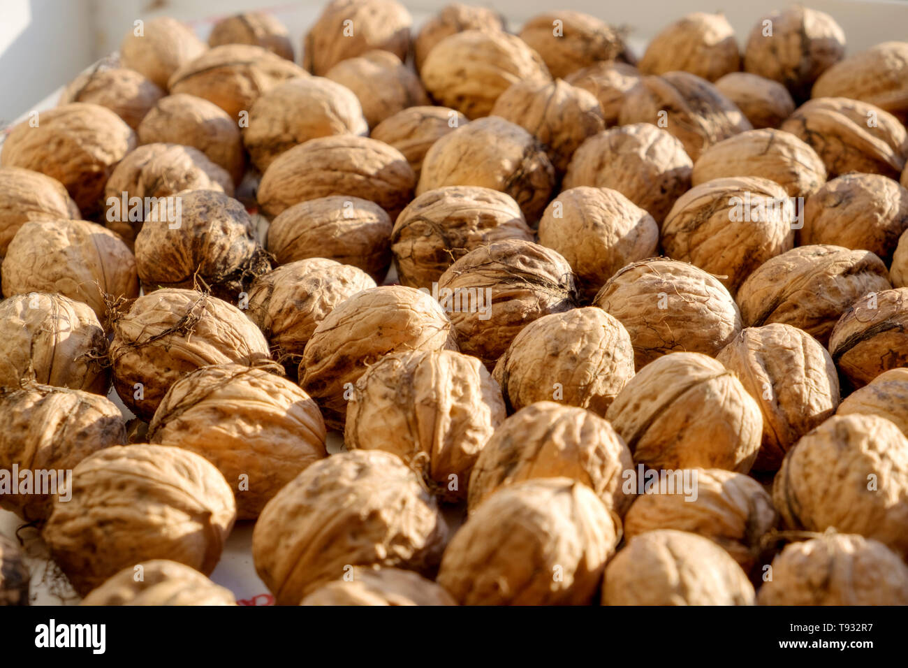 Walnuts laid out on a tray Stock Photo