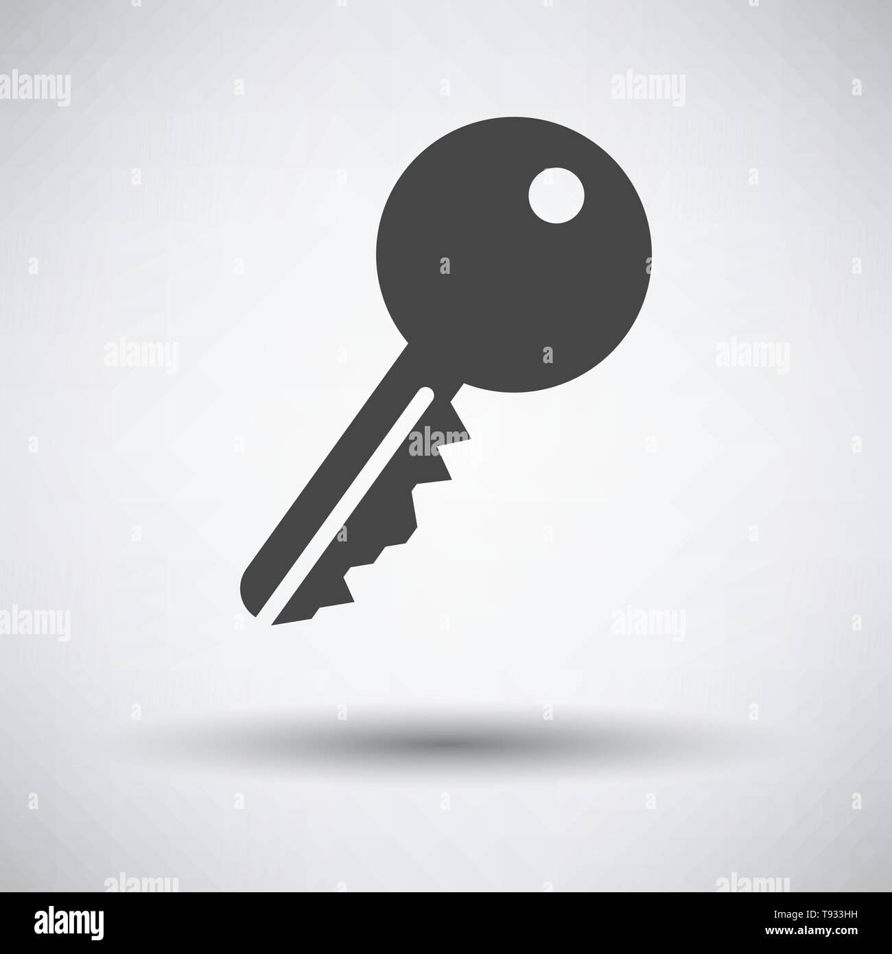 Key Icon. Dark Gray on Gray Background With Round Shadow. Vector
