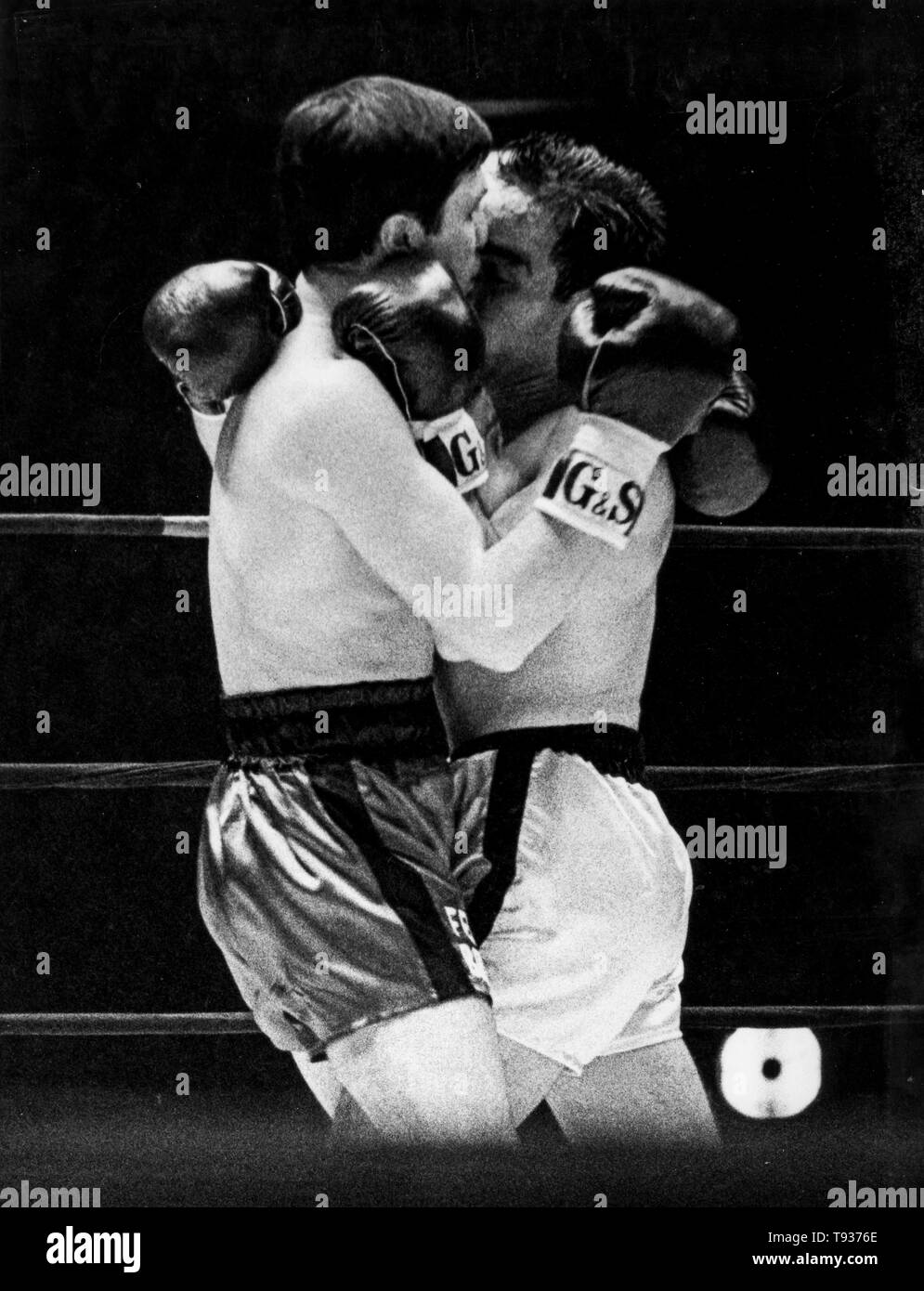 Arcari hires stock photography and images Alamy